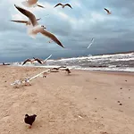 Sand Sarbinowo Sarbinowo