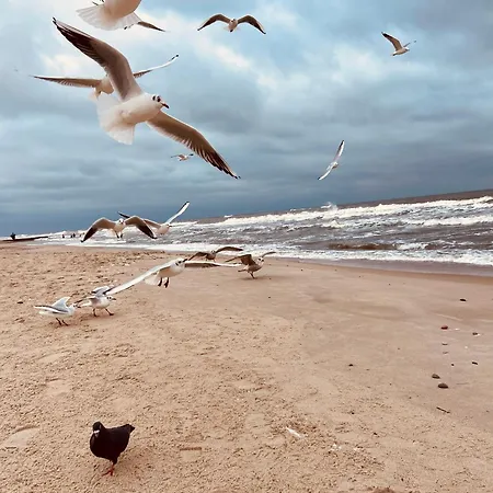 Sand Sarbinowo סרבינובו