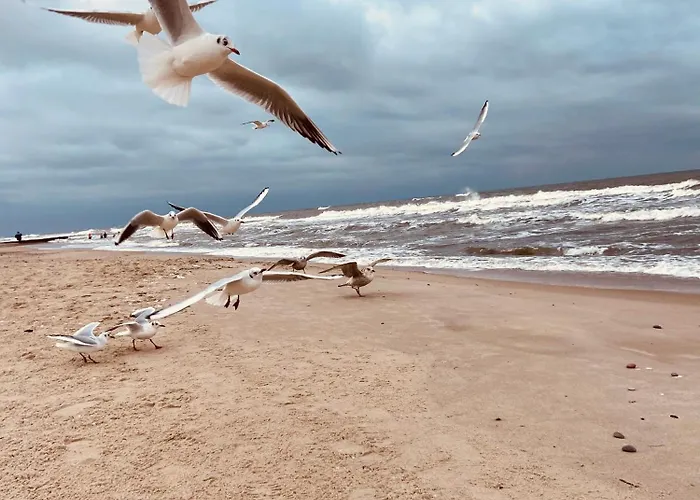 Sand Sarbinowo Sarbinowo